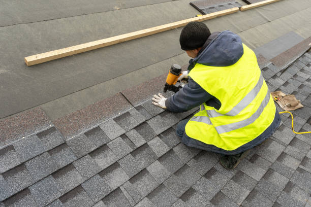 Roof Gutter Cleaning in Brookfield, IL